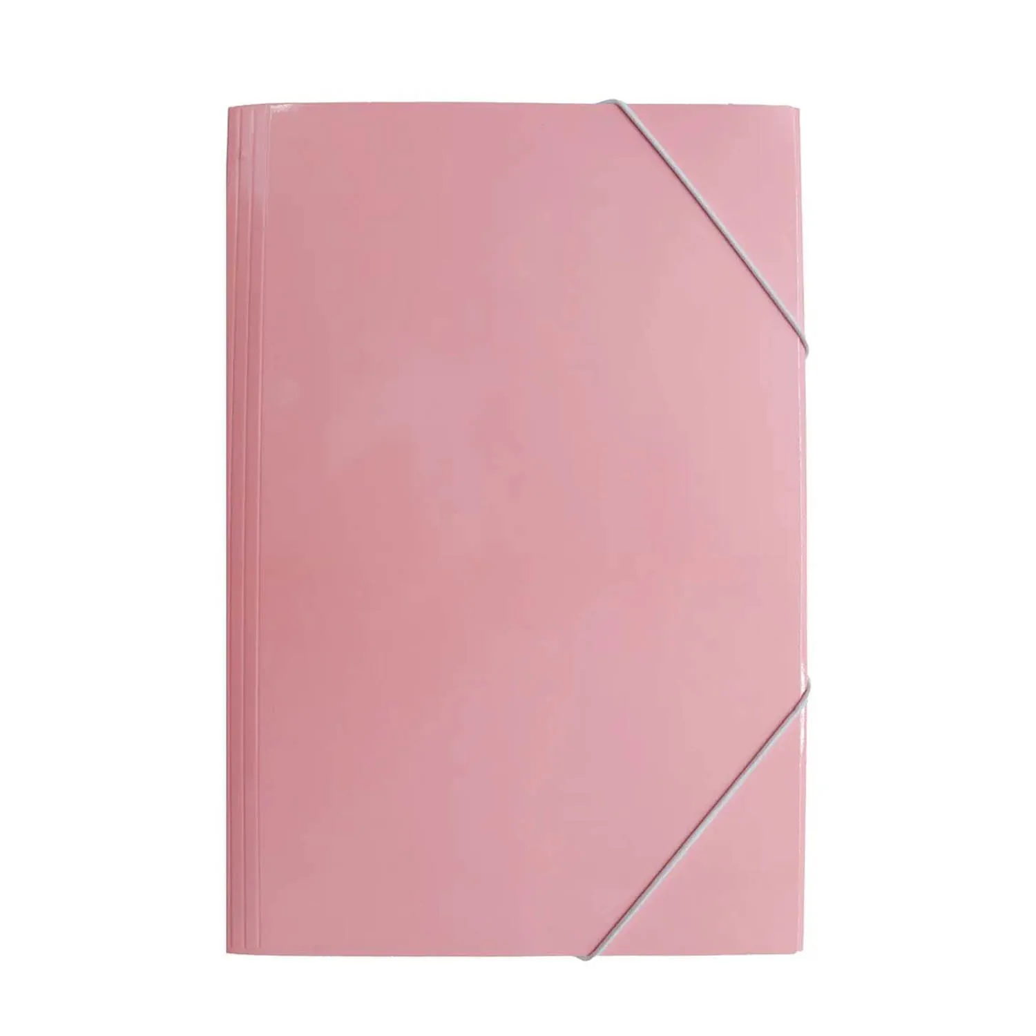 Carpeta Adetec con Elástico Rosado Oficio
