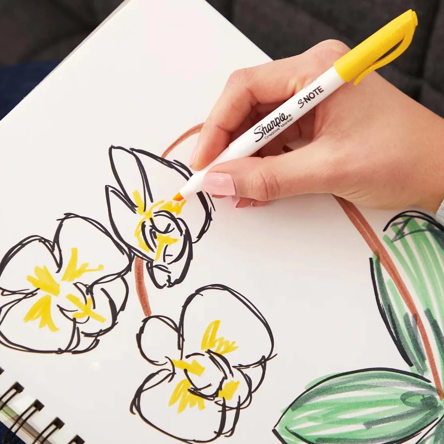 Set Marcadores Creativos Sharpie Acrilicos y S-Note 10 Colores