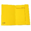 #1018-AM_Carpeta_Amarillo_03.webp