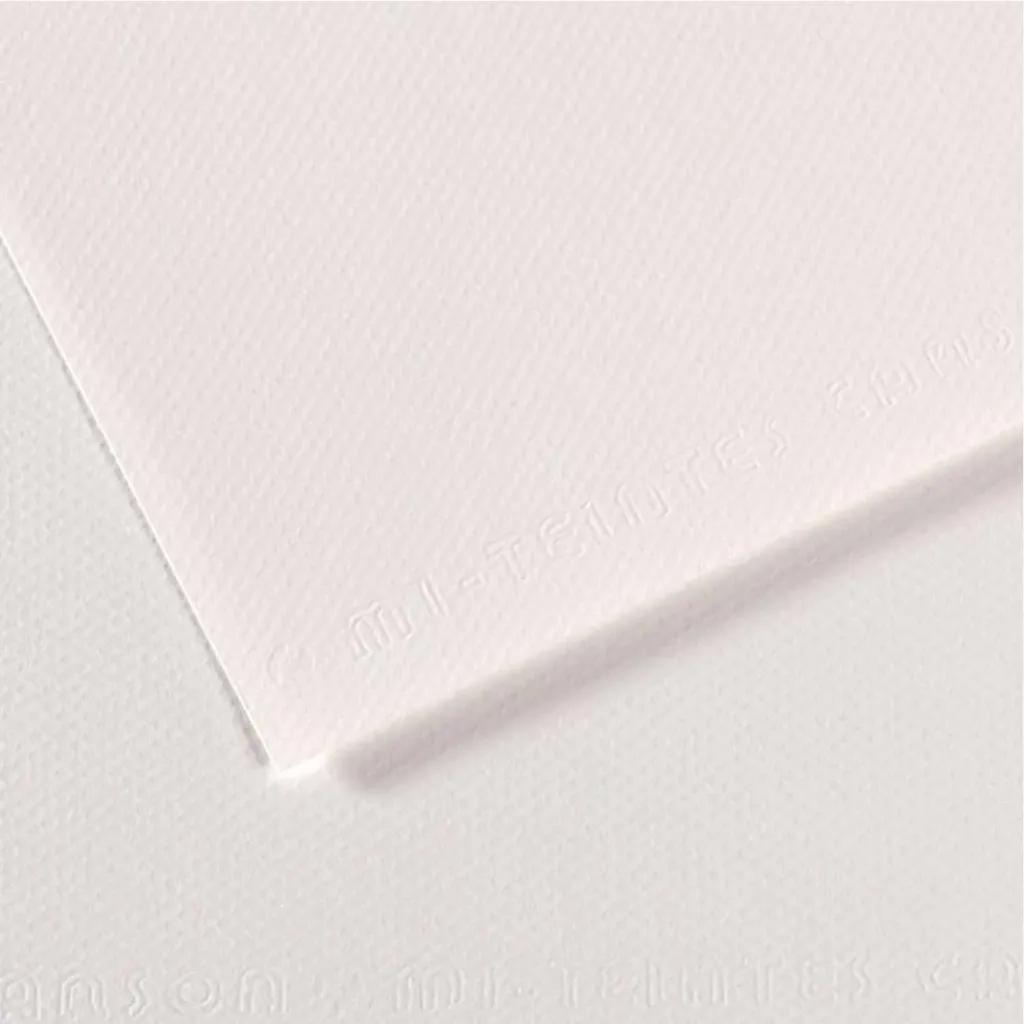 [271104] Cartulina Texturada Canson Mi-Teintes 160gr 50x65cm (335 Blanco)