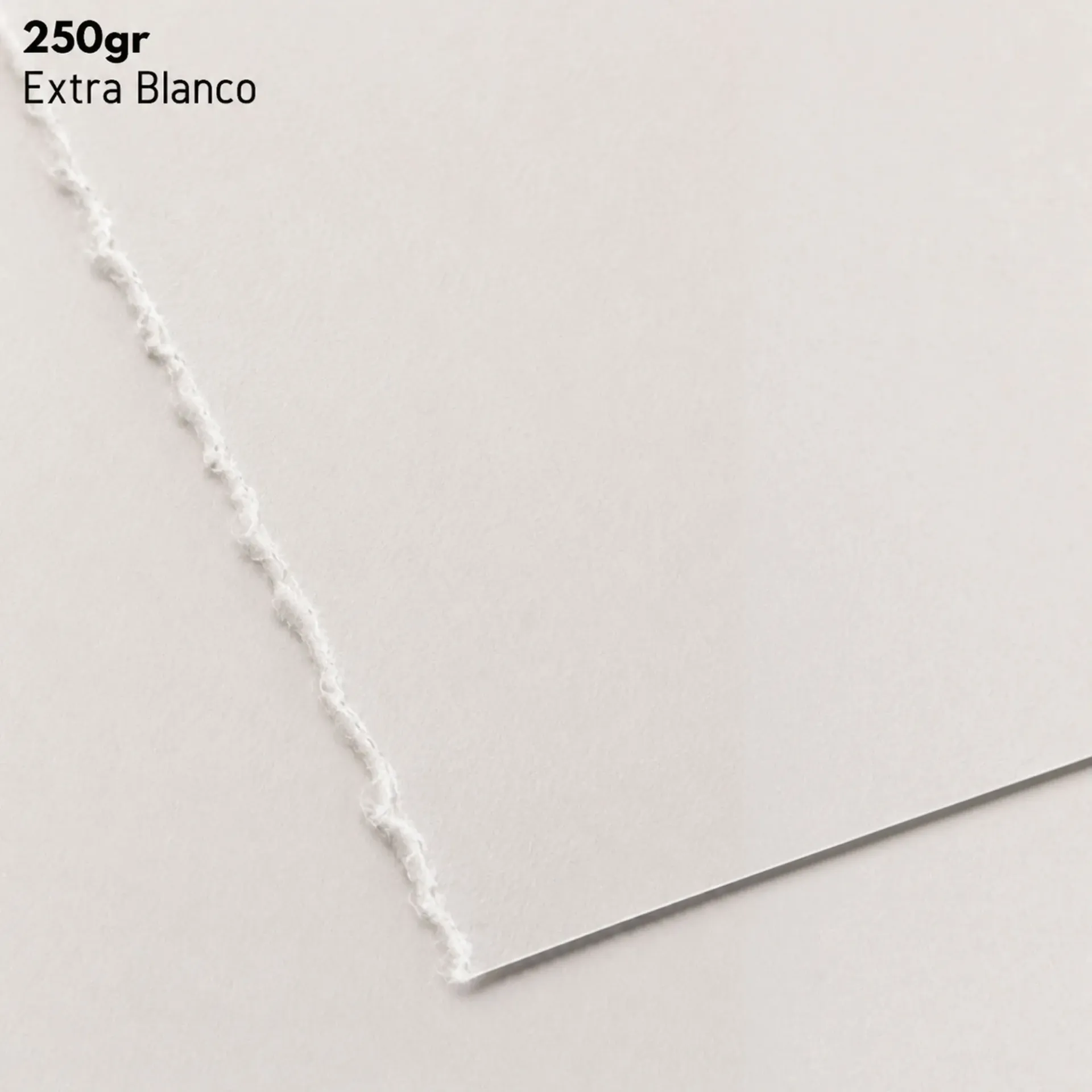 Papel Canson Edition 100% Algodón 250gr 76x56cm