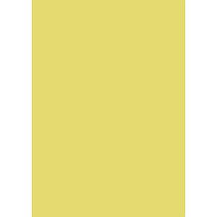 Cartulina Colores Surtidos 140gr 73x53cm
