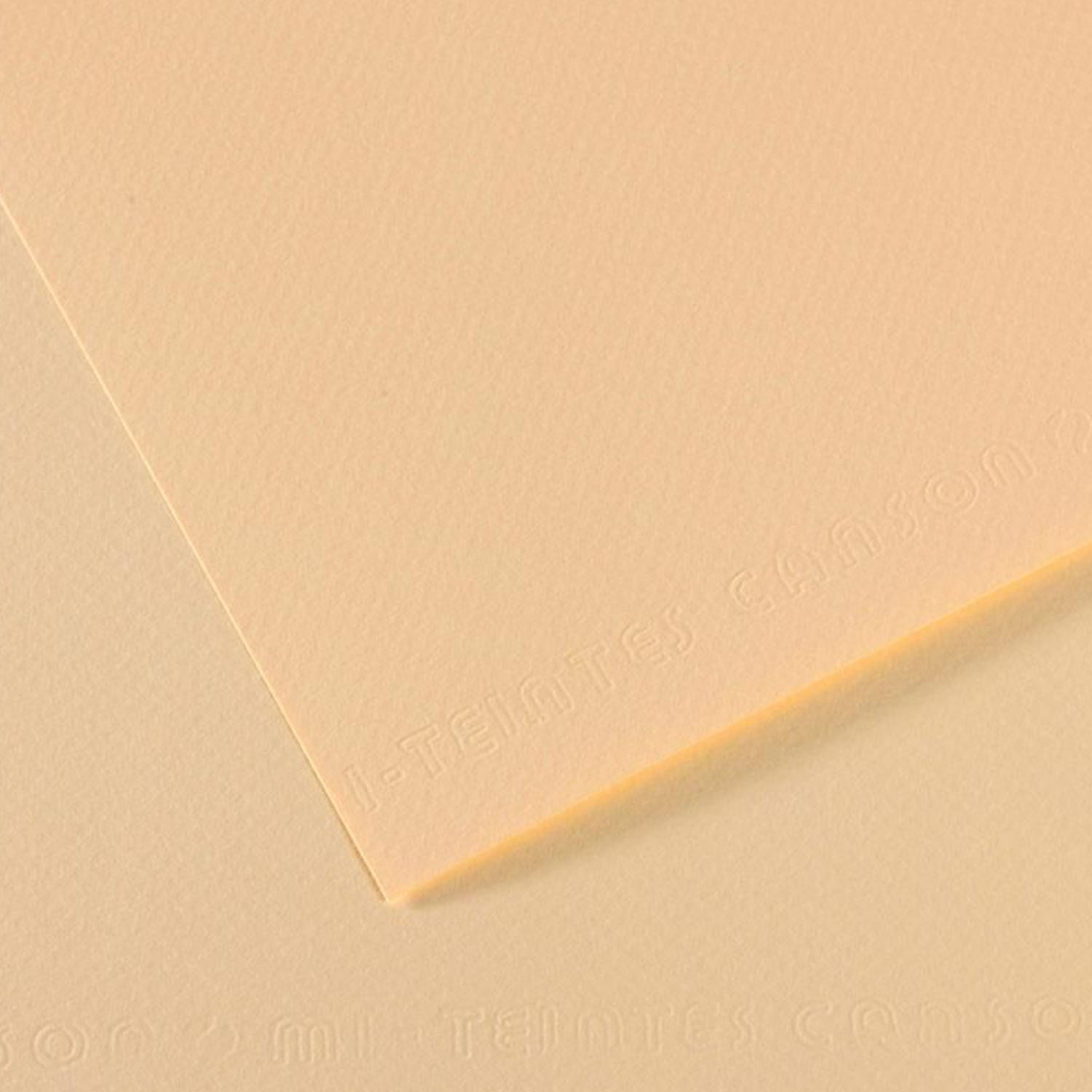 Cartulina Texturada Canson Mi-Teintes 160gr 50x65cm