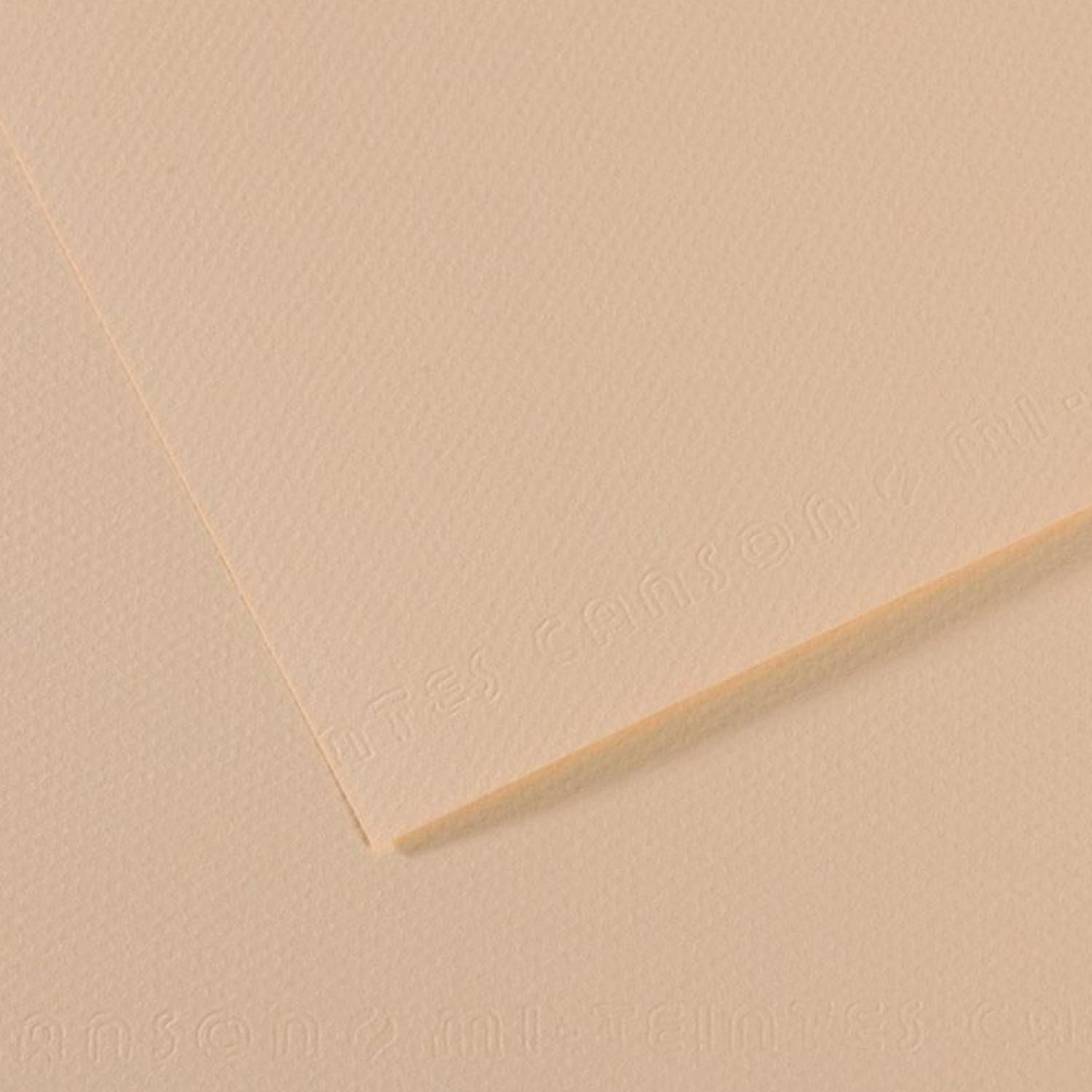 Cartulina Texturada Canson Mi-Teintes 160gr 50x65cm