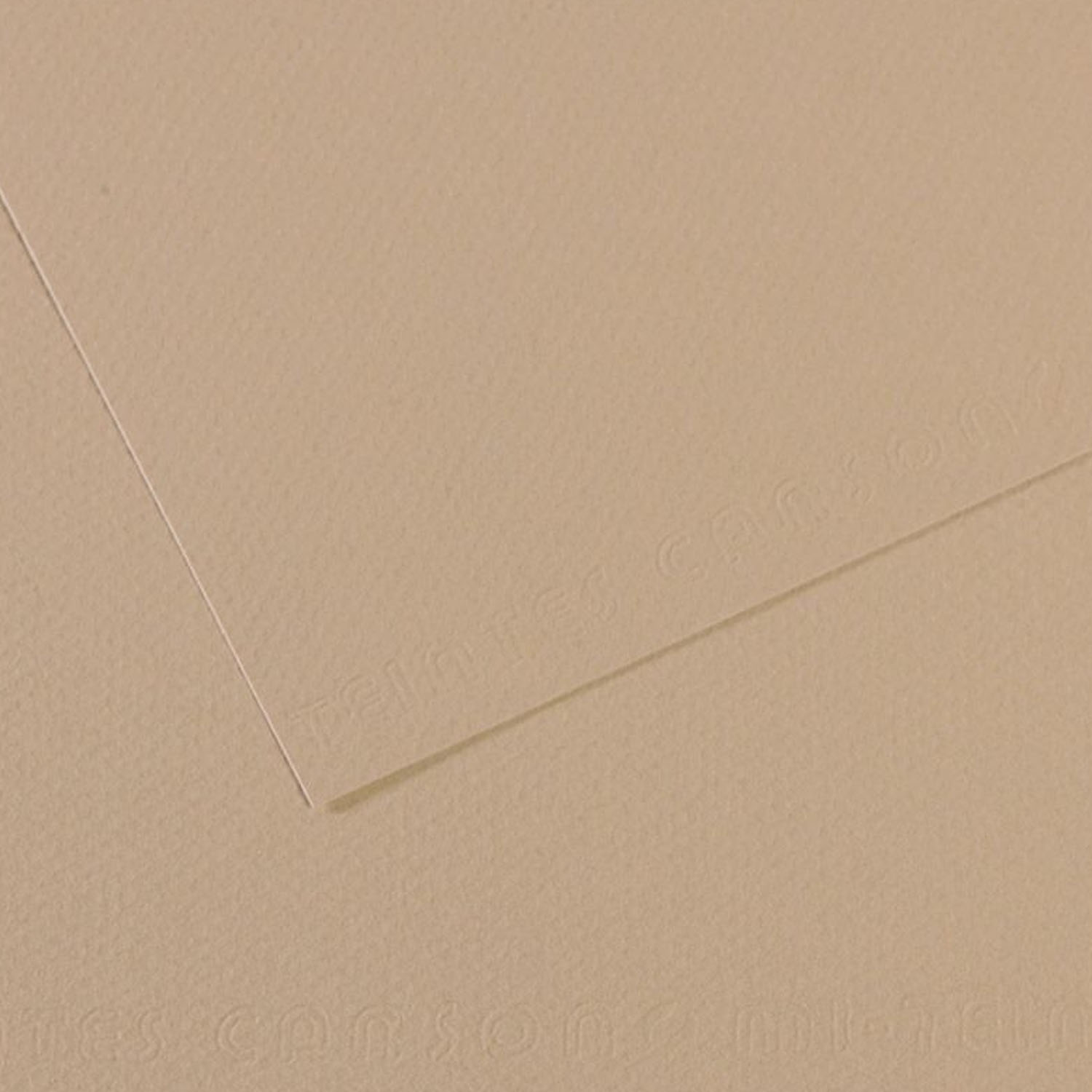 Cartulina Texturada Canson Mi-Teintes 160gr 50x65cm