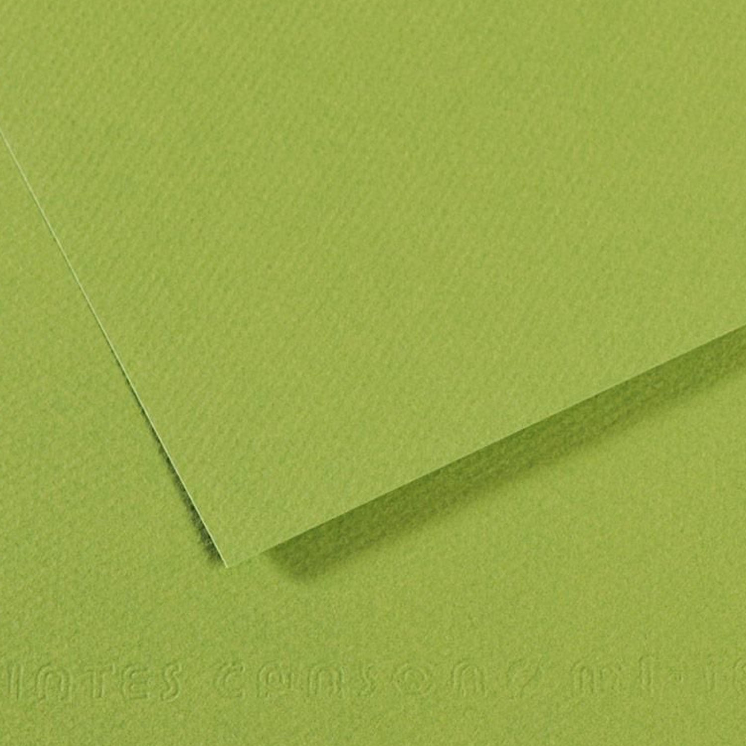 Cartulina Texturada Canson Mi-Teintes 160gr 50x65cm