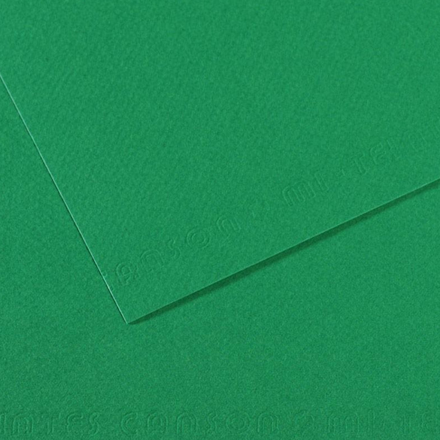 Cartulina Texturada Canson Mi-Teintes 160gr 50x65cm