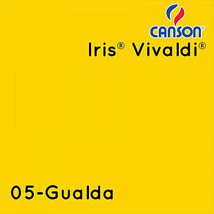 Cartulina Española Canson Vivaldi 185gr 50x65cm