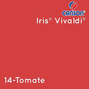 Cartulina Española Canson Vivaldi 185gr 50x65cm