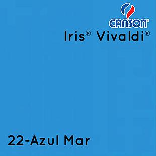 Cartulina Española Canson Vivaldi 185gr 50x65cm