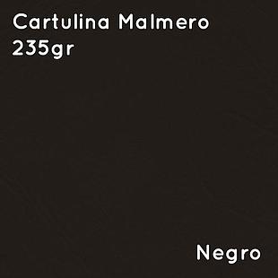 Cartulina Malmero 235gr (10 unid)