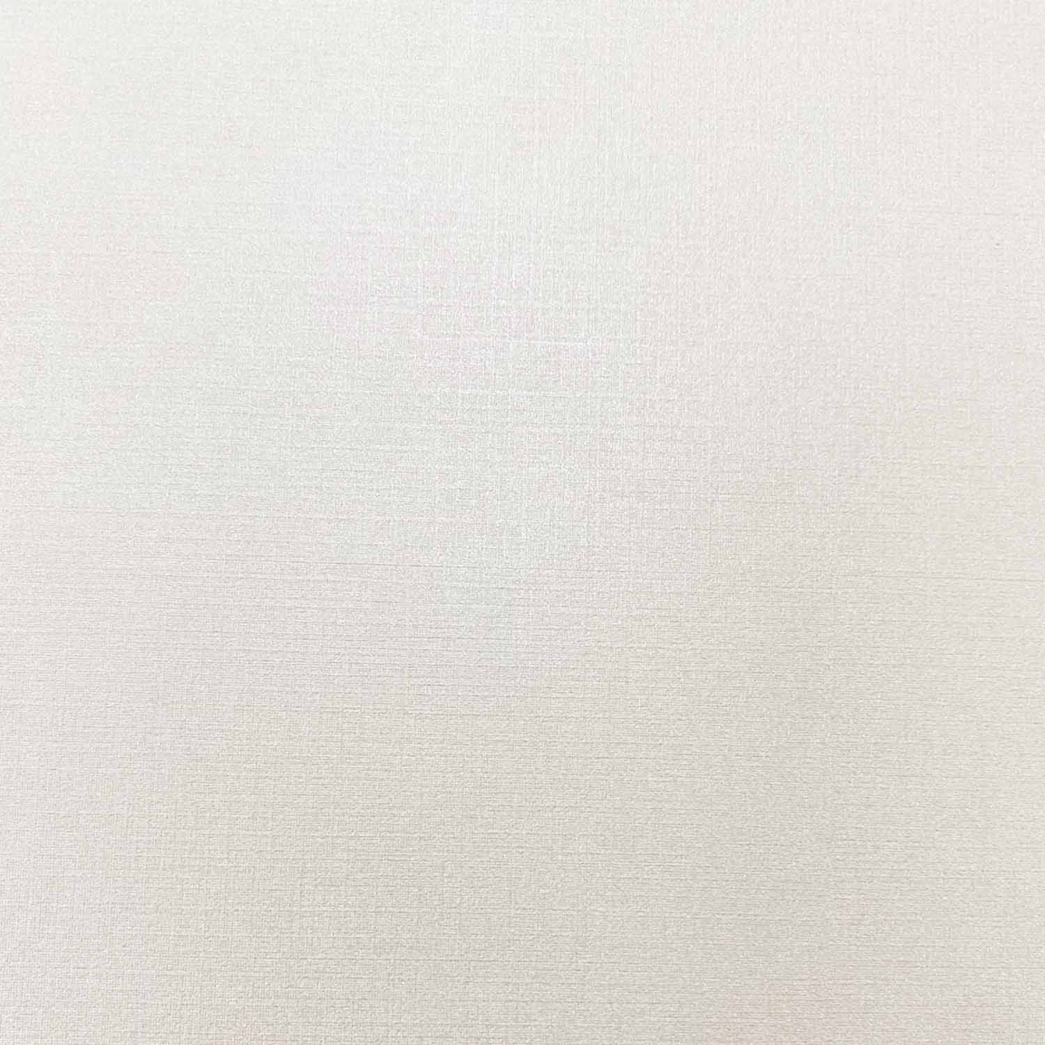 Cartulina Lilac Tamaño Oficio 200gr (10hj)