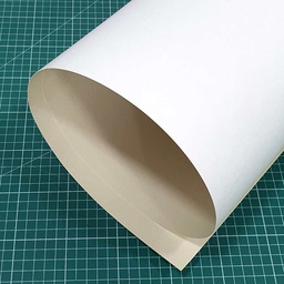 [PLCF11077300BCO] Carton Forrado Simple 110x77cm 300gr Reverso Blanco