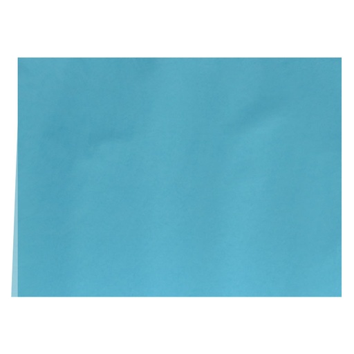 Cartulina Colores Surtidos 140gr 73x53cm